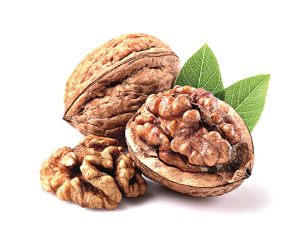 shutterstock_146113523
