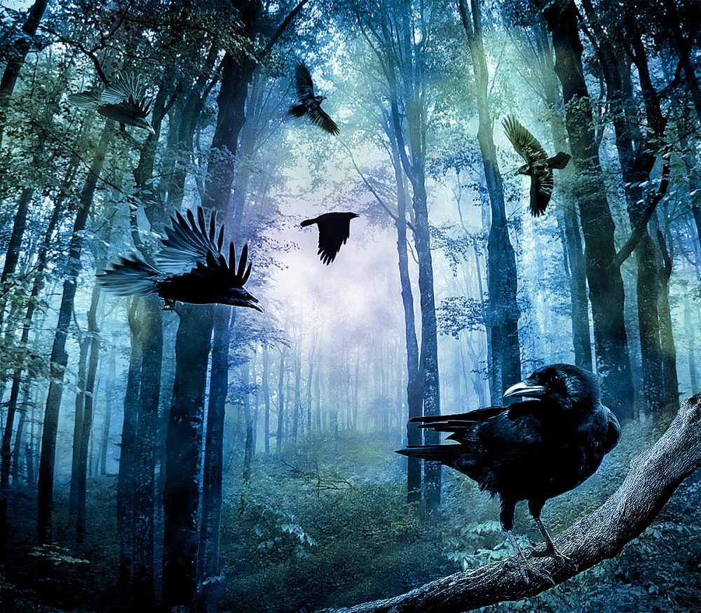 shutterstock_240278626