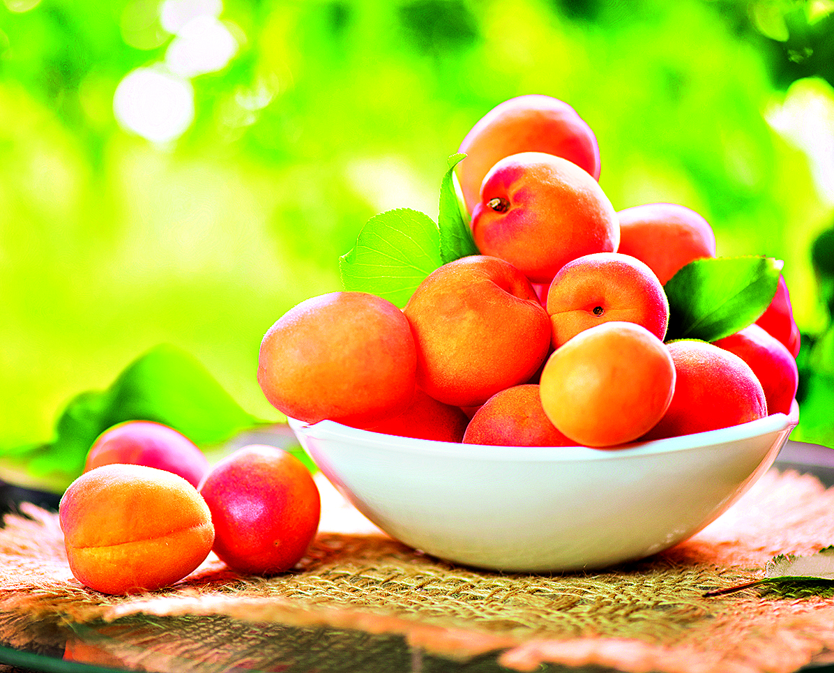 shutterstock_289236131