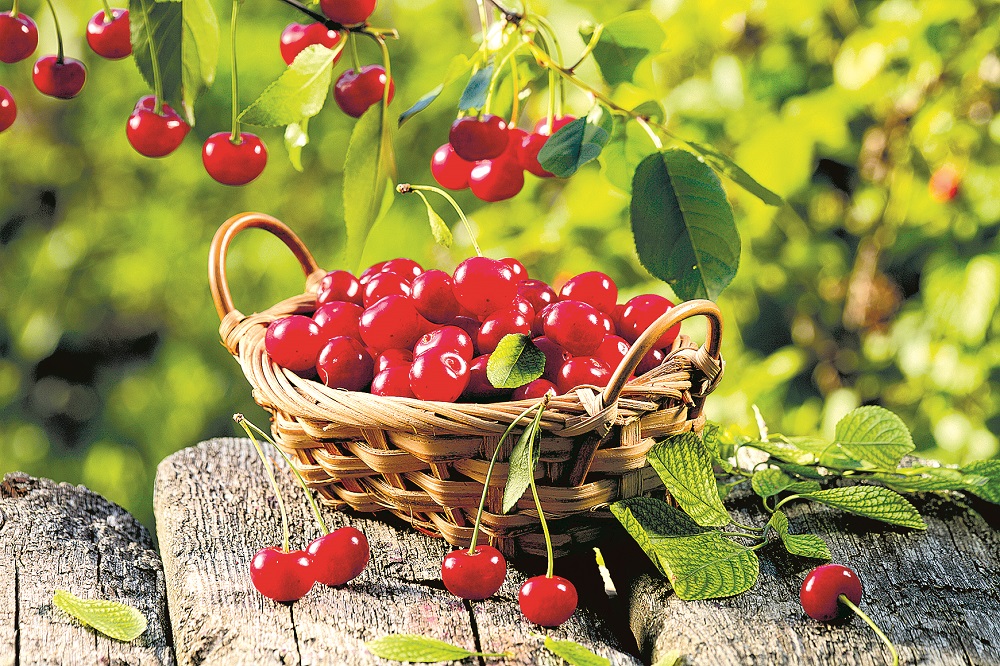 shutterstock_350699966