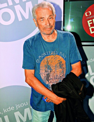 Alois Švehlík: Role po mrtvém kamarádovi