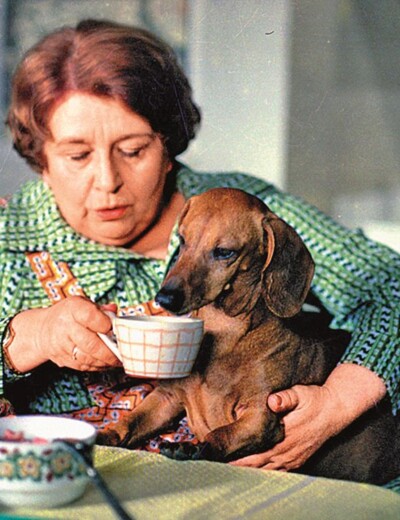 Když na filmovém nebi zářila Stella