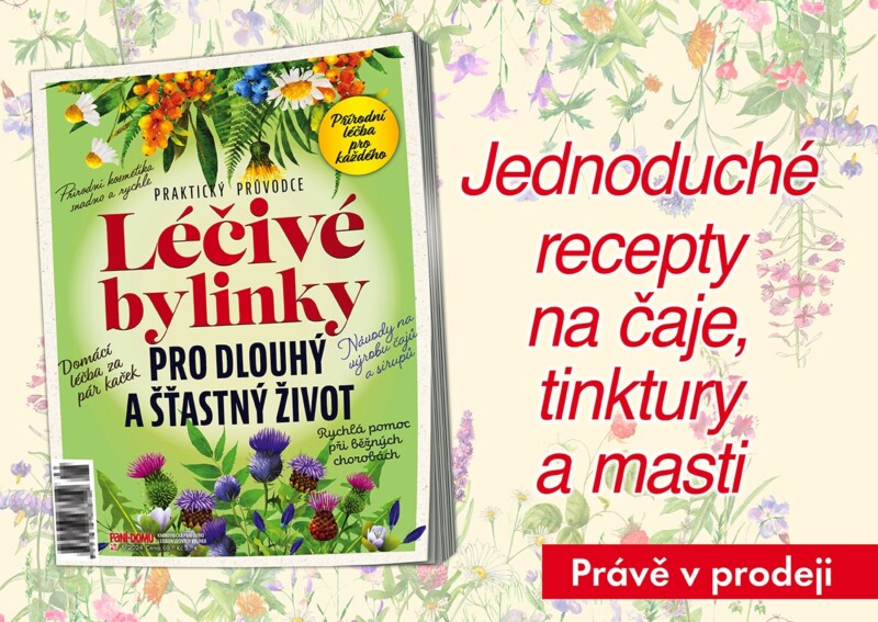 Léčivé bylinky pro dlouhý a šťastný život