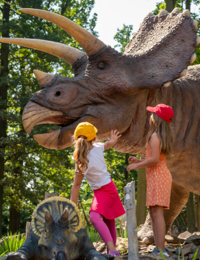 Dinosaurus jako živý? V DinoParku teď potkáte mládě stegosaura, které chodí mezi lidmi!