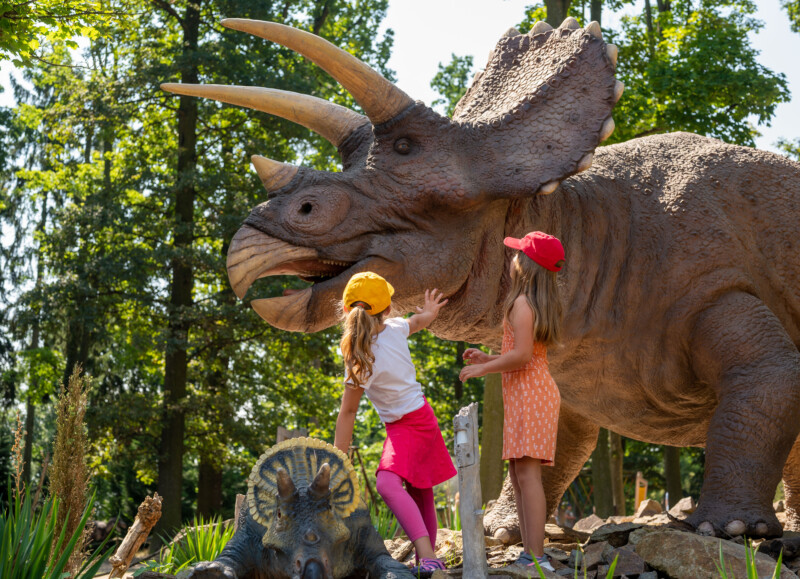 Dinosaurus jako živý? V DinoParku teď potkáte mládě stegosaura, které chodí mezi lidmi!