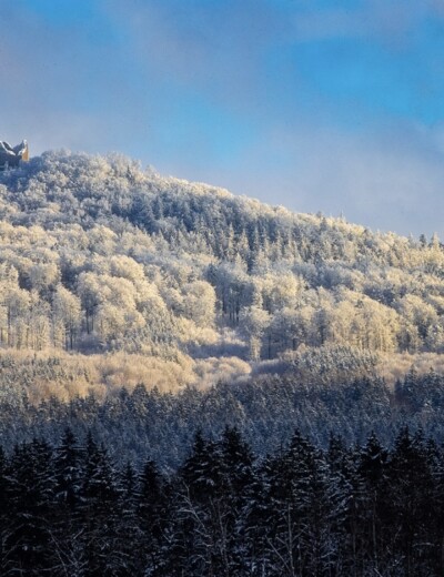 Český les v zimě: místo, kde si zresetujete mysl i tělo