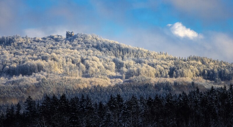 Český les v zimě: místo, kde si zresetujete mysl i tělo