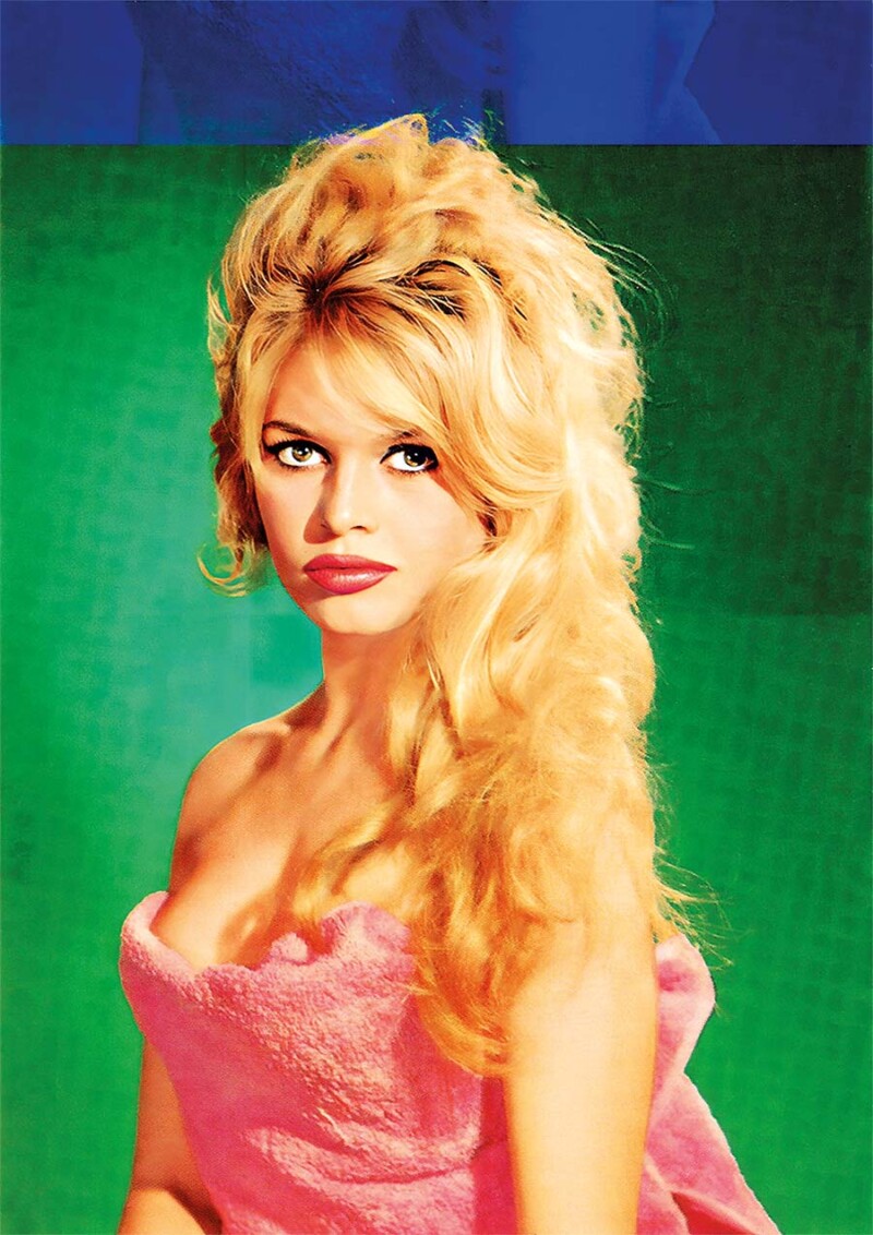 Brigitte Bardot milovala zvířata a vlastní svobodu
