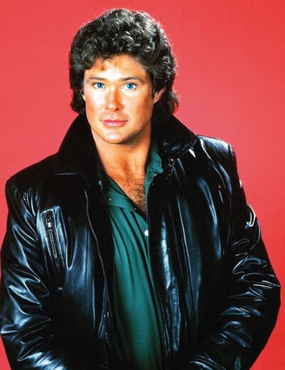 Lahev alkoholu byla Davidu Hasselhoffovi bližší než jeho rodina