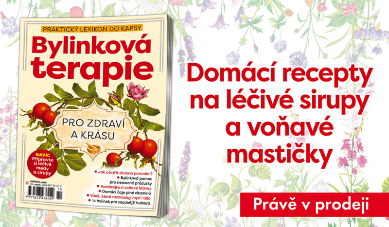 Knihovnička Bylinková terapie pro zdraví a krásu je právě v prodeji!