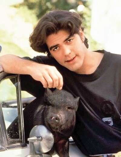 Domácí mazlíček zachránil Georgi Clooneymu život při zemětřesení!