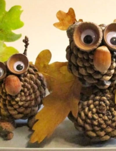 Sovička, která potěší